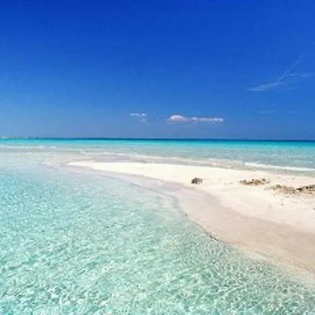 Vicino Al Mare Διαμέρισμα *